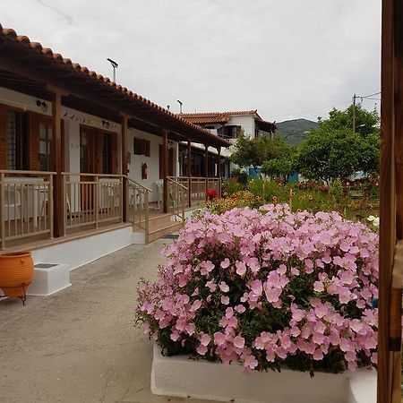 Asimina'S House Aparthotel Skiathos stad Exteriör bild