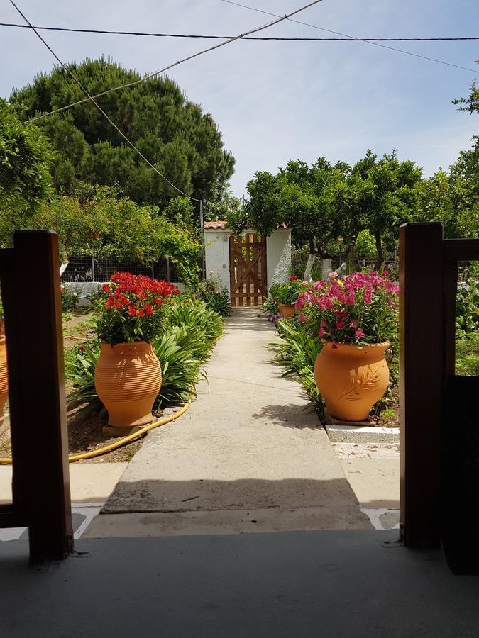 Asimina'S House Aparthotel Skiathos stad Exteriör bild